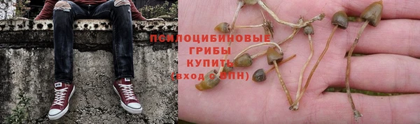 СК Семилуки