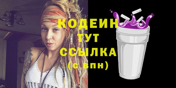 СК Семилуки