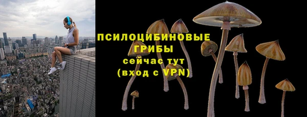 ПСИЛОЦИБИНОВЫЕ ГРИБЫ Конаково