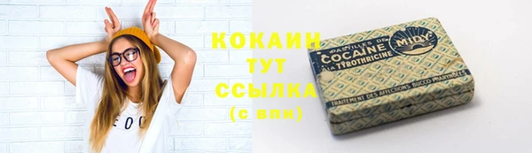 mdpv Вяземский