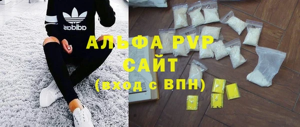 PSILOCYBIN Семёнов