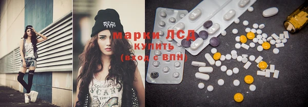 PSILOCYBIN Семёнов