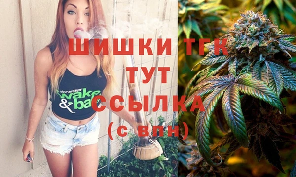 СК Семилуки