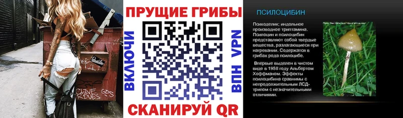наркотики  даркнет состав  Псилоцибиновые грибы Cubensis  Советский 