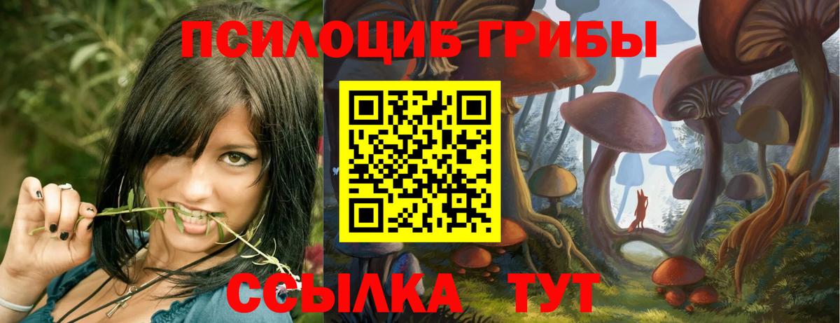 Галлюциногенные грибы мухоморы Советский