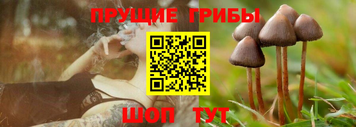 Советский  где купить наркоту  Вход с VPN  Галлюциногенные грибы Psilocybine cubensis 