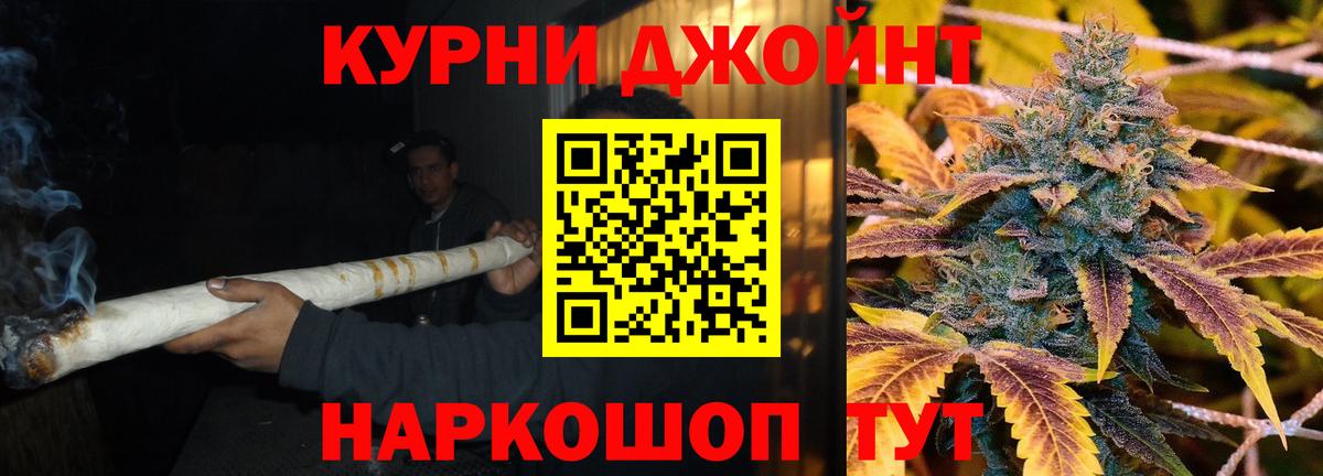 Бошки Шишки ГИДРОПОН Советский